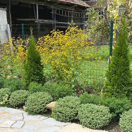 Verta House Triawna Zewnętrze zdjęcie